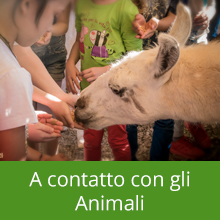 A contatto con gli Animali - Piccola Fattoria di Sermoneta
